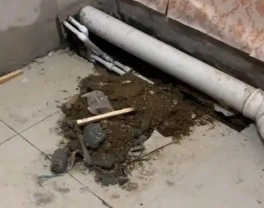 云县卫生间漏水检测哪家好